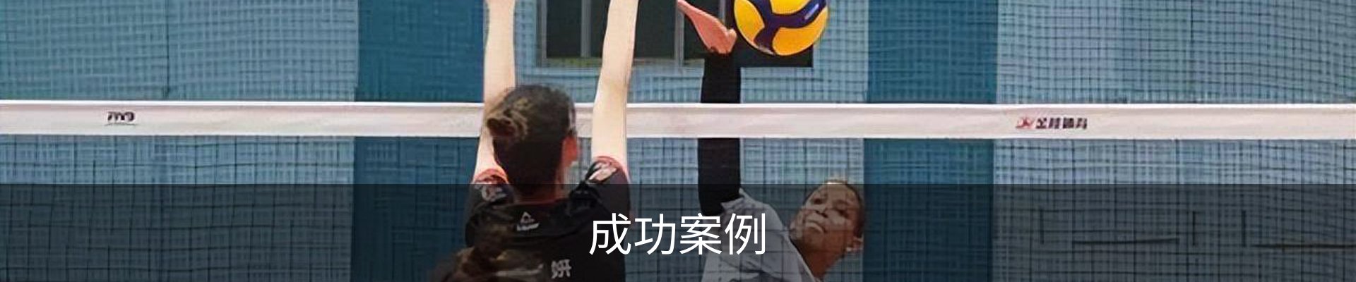 成功案例